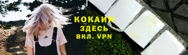 прущие крисы Богородицк