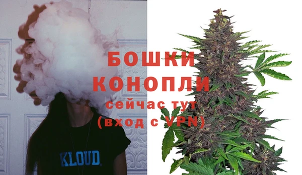 гидропоника Богданович