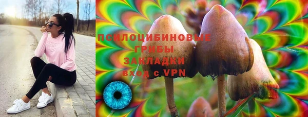 гидропоника Богданович