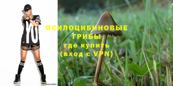 эйфоретик Богородск
