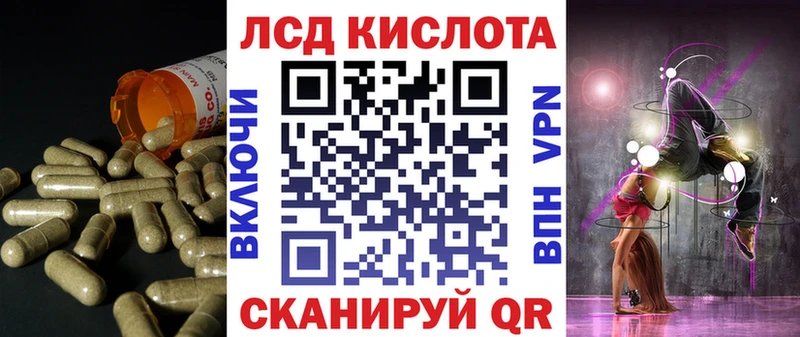 дарнет шоп  Волосово  Лсд 25 экстази кислота 