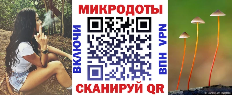 магазин продажи наркотиков  Волосово  Галлюциногенные грибы Cubensis 